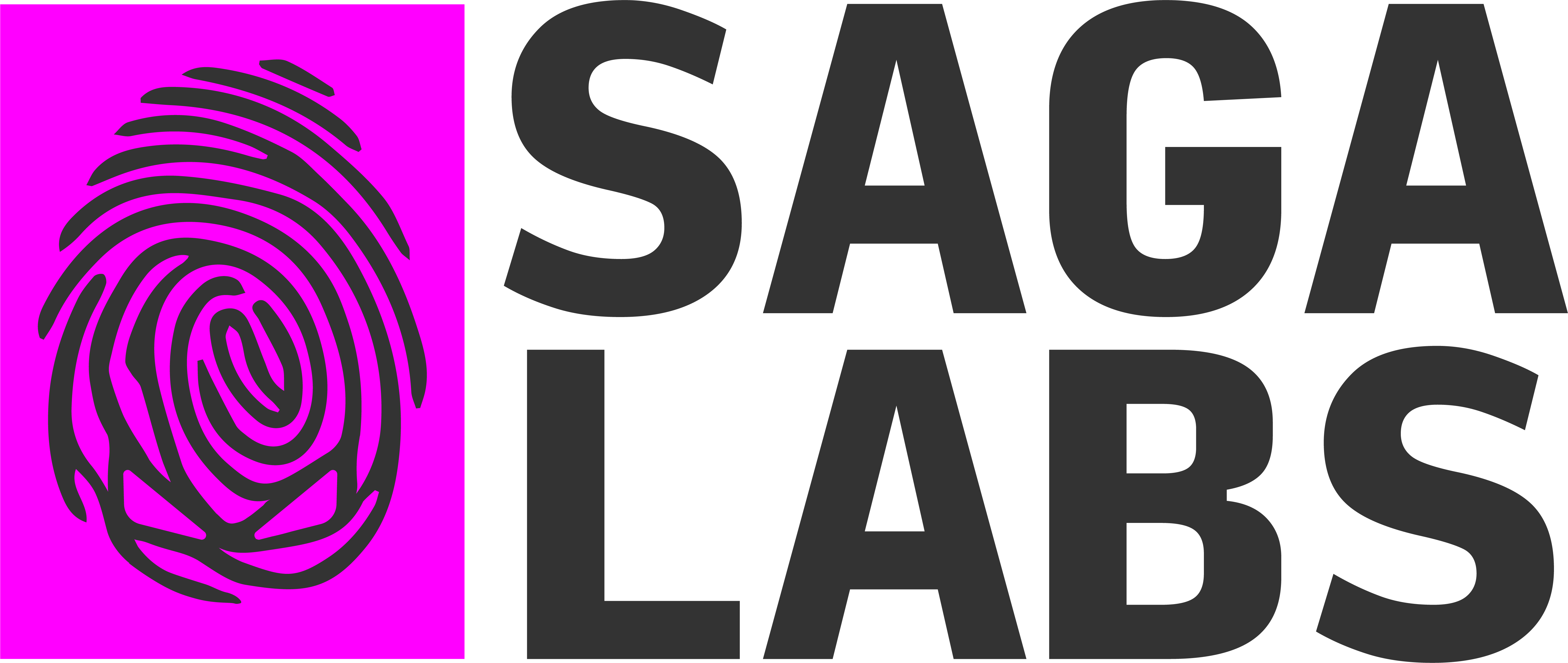 SagaLabs logo